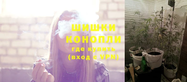 spice Тында