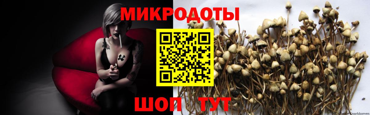 Псилоцибиновые грибы ЛСД Махачкала