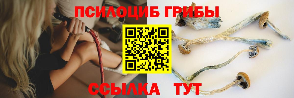 Псилоцибиновые грибы ЛСД  Галлюциногенные грибы мицелий  Вход с VPN  Махачкала 