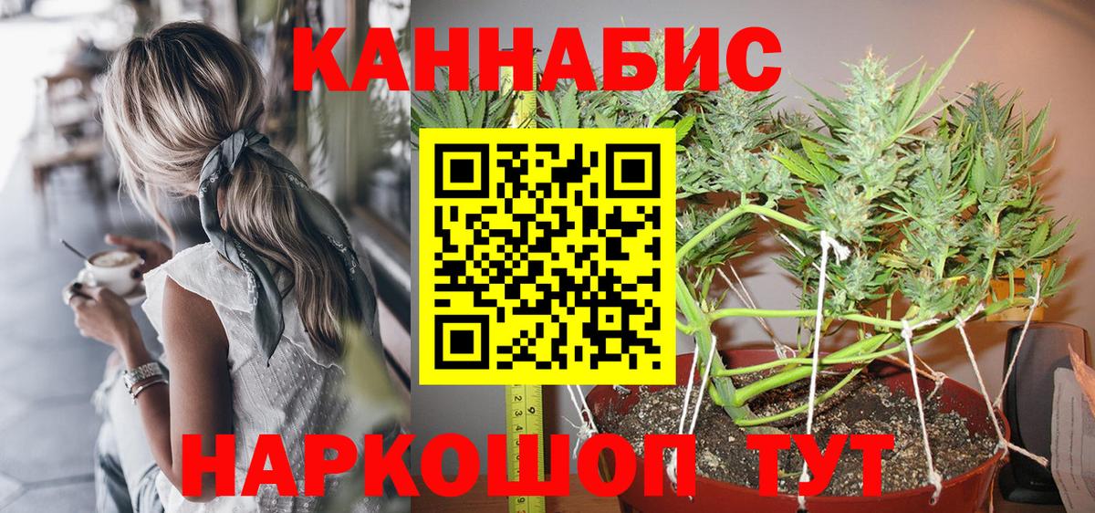 Канабис ГИДРОПОН Махачкала